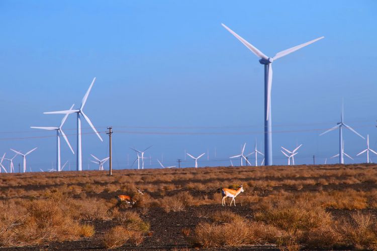 風(fēng)力發(fā)電場(chǎng)接地