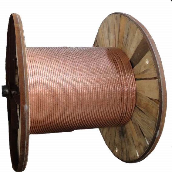 1666318497603360.jpg 270d9137a2026c5f7f8bf80a11df92e.jpg